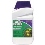 Weed Beater® Lawn Weed Killer Conc