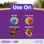 Bontone II Rooting Powder product infographic