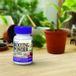 Bontone II Rooting Powder