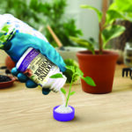 Bontone II Rooting Powder