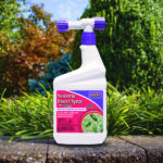 Systemic Insect Spray Ready-to-Spray