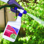 Systemic Insect Spray Ready-to-Spray