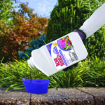 Rose Shield Systemic Rose & Flower Drench