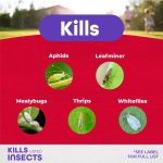 Systemic Granules Insect Control product infographic