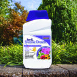 Rose-Rx Systemic Drench Conc