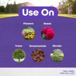 Rose Shield Concentrate product infographic