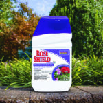 Rose Shield Concentrate