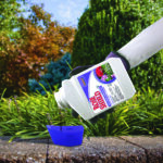 Rose Shield Concentrate