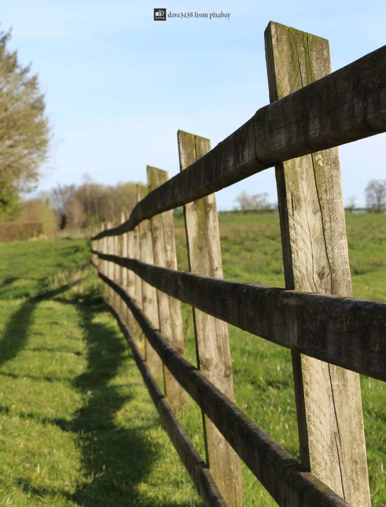 Fence Lines
