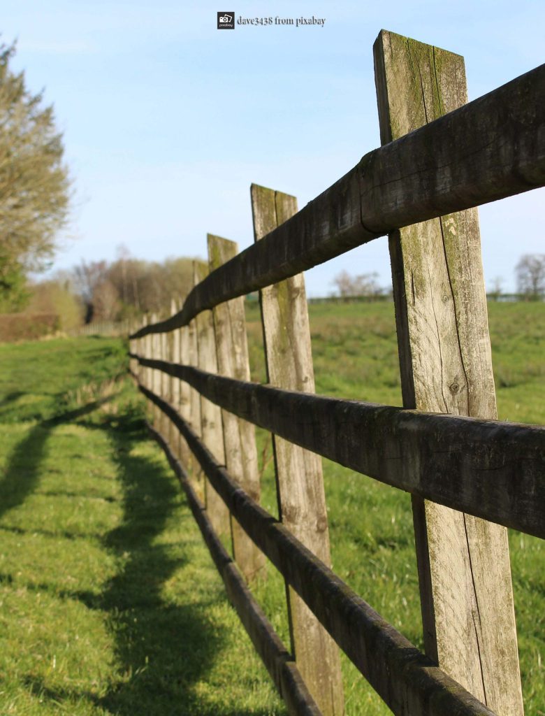 Fence Lines