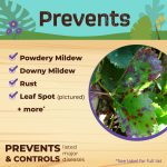 Captain Jack's Neem Max Concentrate product infographic