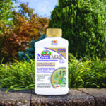 Captain Jack’s Neem Max Concentrate
