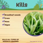 Captain Jack's Deadweed Brew Concentrate product infographic