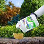 Captain Jack’s Deadweed Brew Concentrate