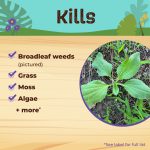 Captain Jack's Deadweed Brew Ready-to-Use product infographic