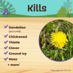 Captain Jack's LawnWeed Brew Ready-to-Use product infographic