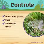 Captain Jack's Lawnweed Brew Concentrate product infographic