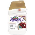 Rose Rx 4 in 1
