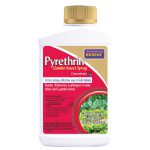 Pyrethrin Garden Spray Conc