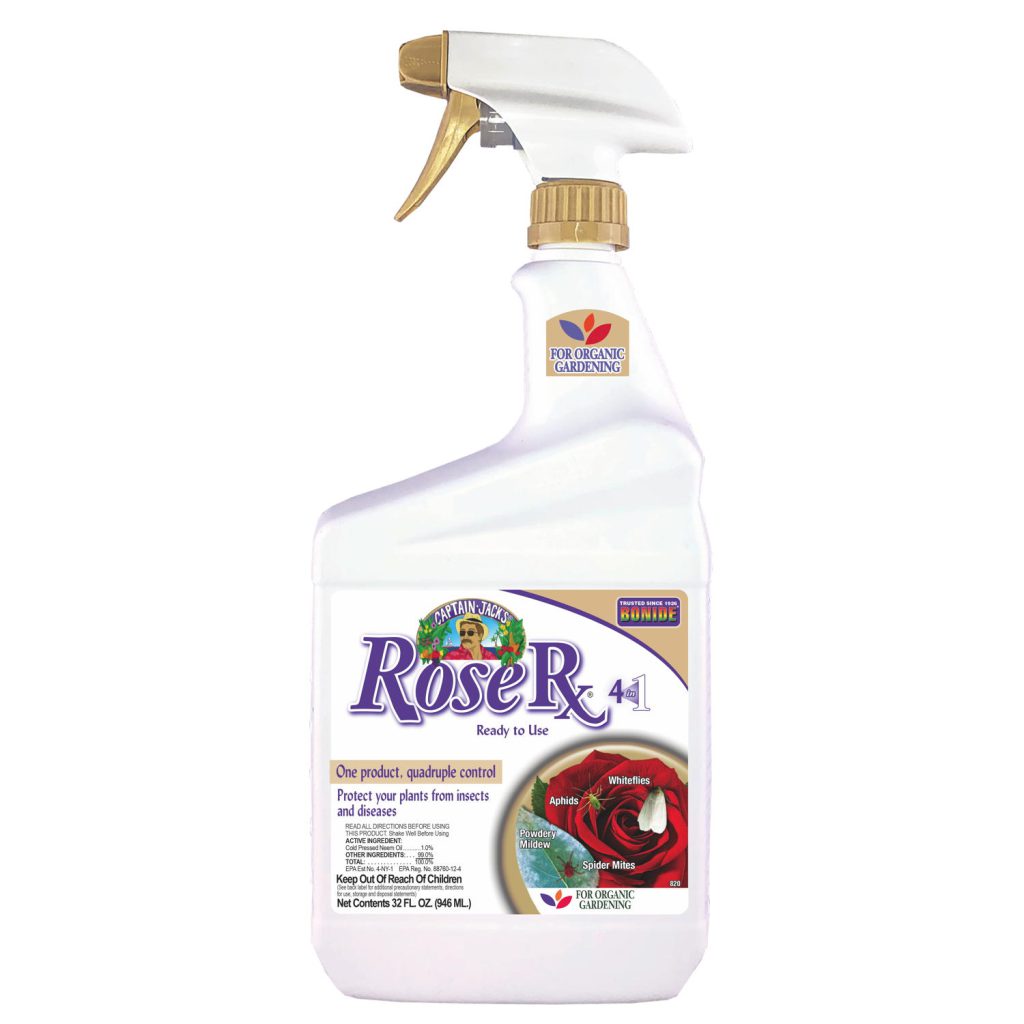 Captain Jack%27s Rose Rx 4 in 1 Ready to Use