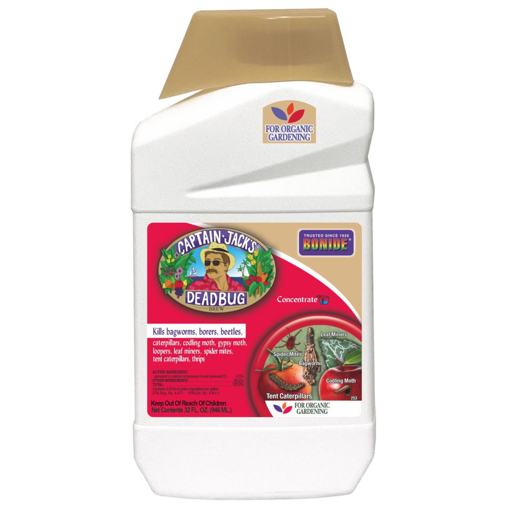 Captain Jack%27s DeadBug Brew® Concentrate