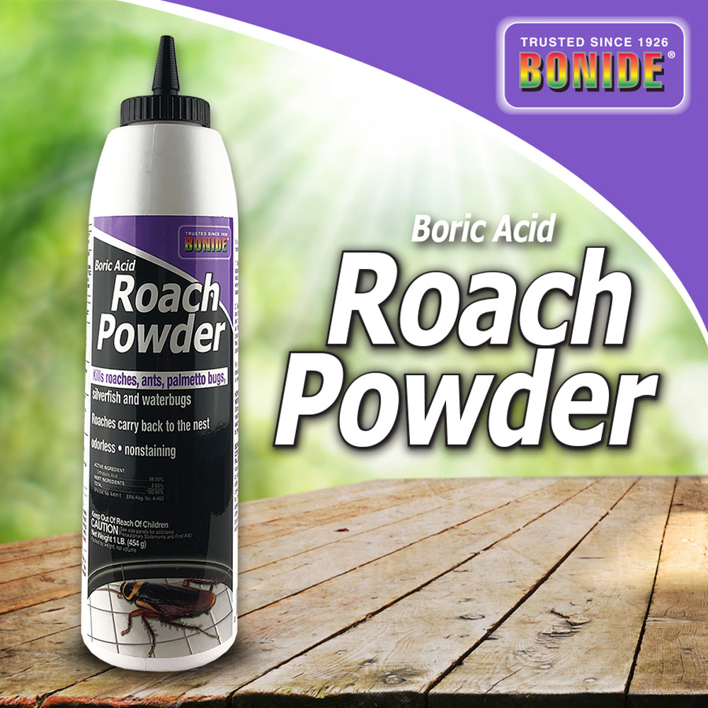 Roach Powder