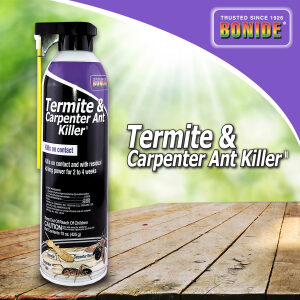 Termite & Carpenter Ant Killer Aerosol