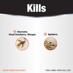 Revenge Wasp & Hornet Foam Aerosol product infographic