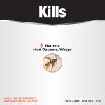 Revenge Wasp & Hornet Aerosol product infographic
