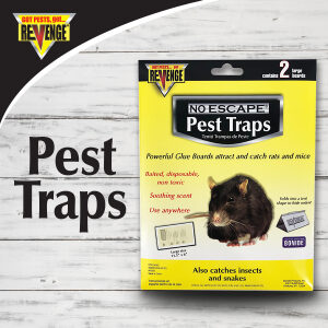 REVENGE® Rat Trap Glue Traps