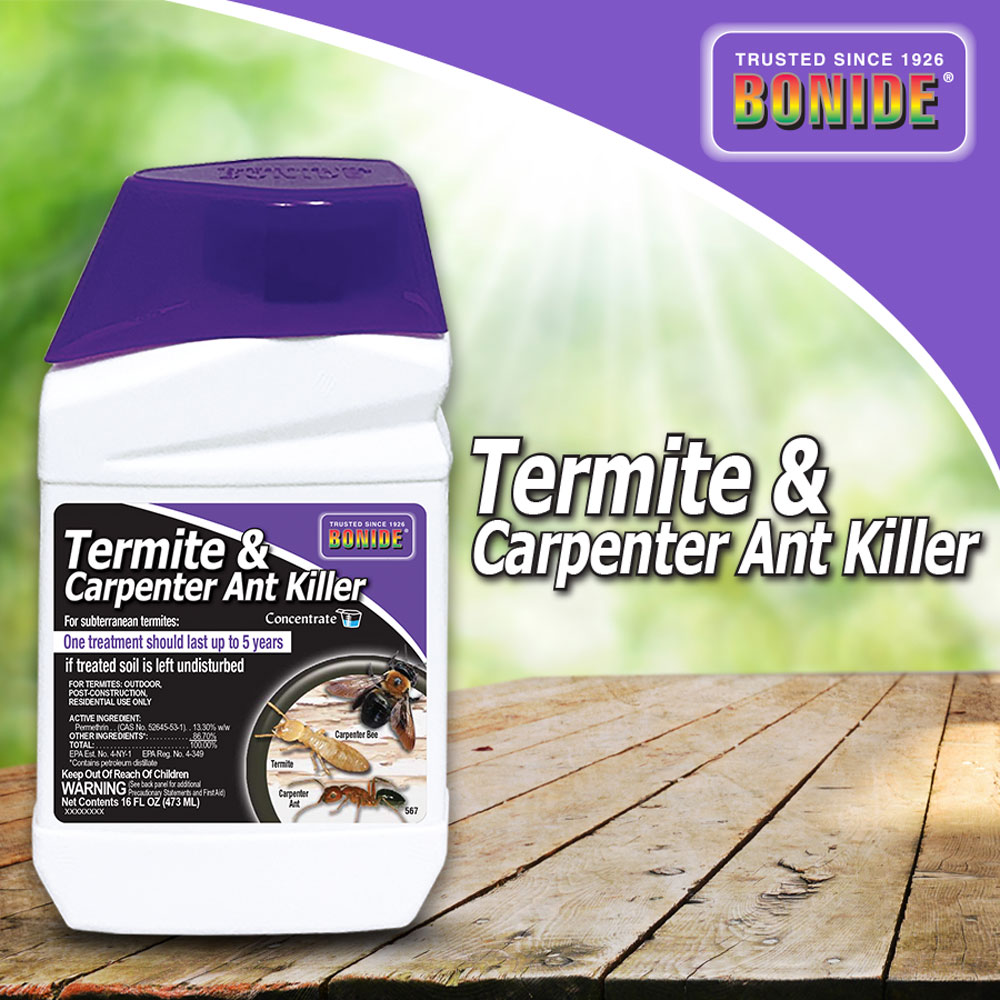 Termite & Carpenter Ant Killer Conc