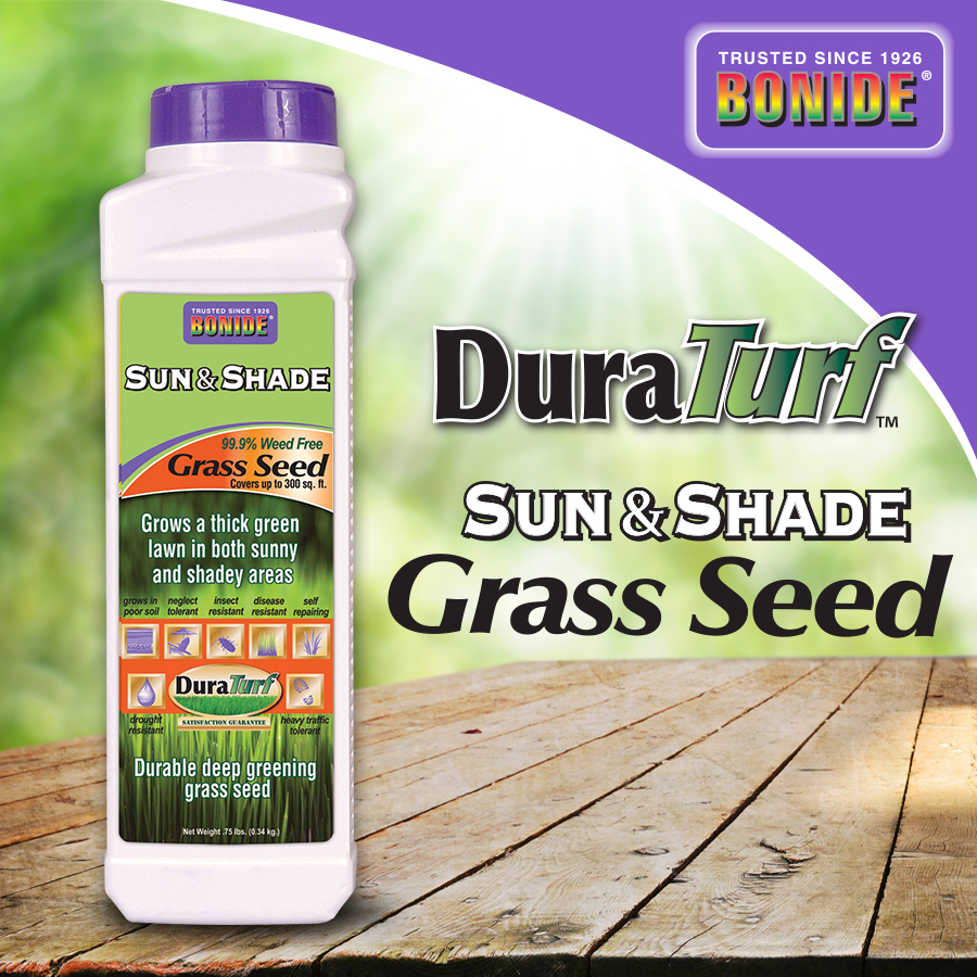 Sun & Shade Grass Seed