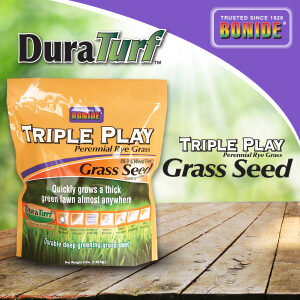Triple Play Rye Grass Seed