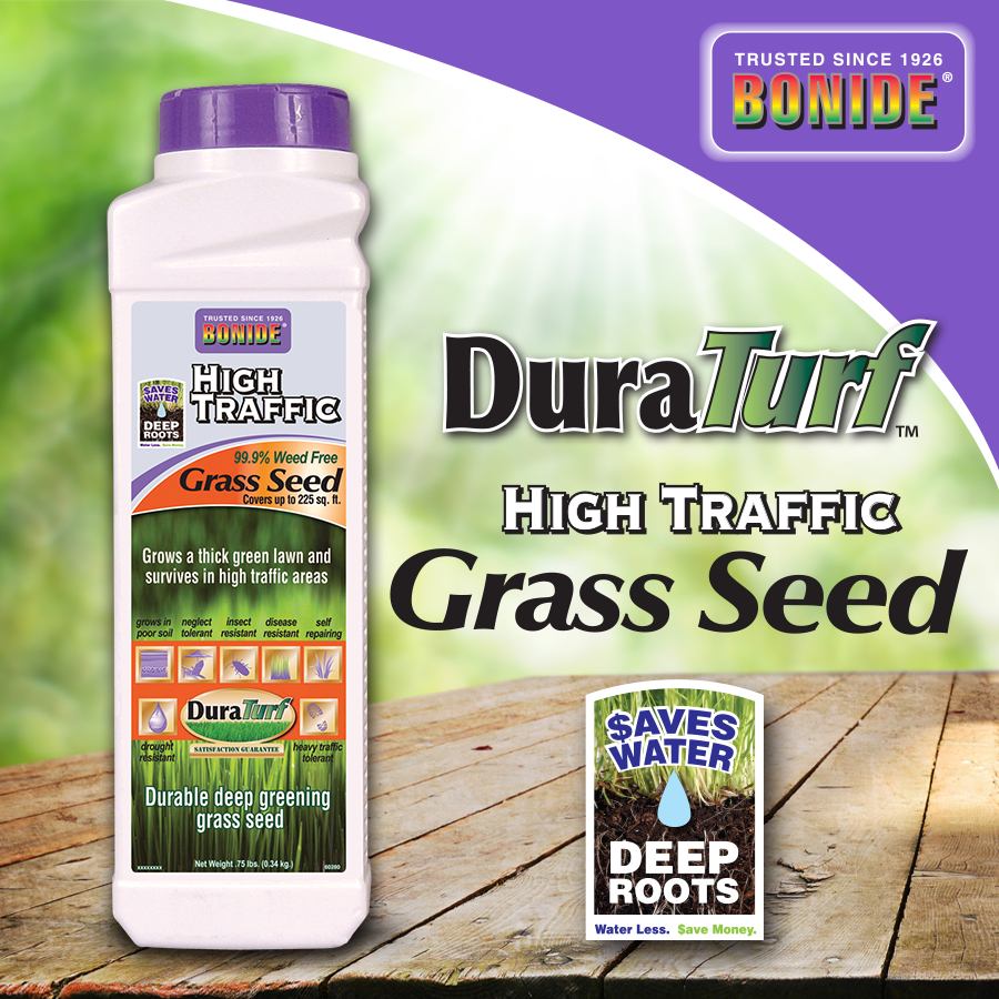 High Traffic Grass Seed