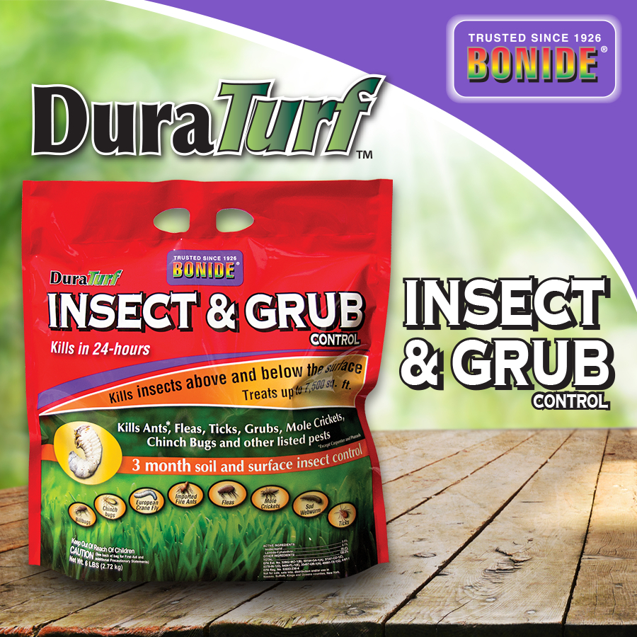 Insect & Grub Control