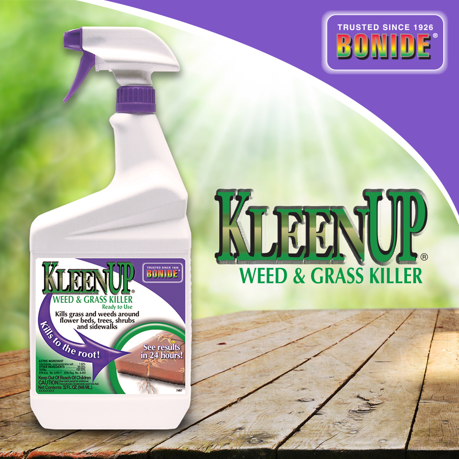 KleenUp Weed & Grass Killer RTU