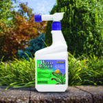 Weed Beater "Southern Lawns" RTS Quart in use