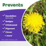 Duraturf Total Lawn Weed Control Ready to Spray product infographic