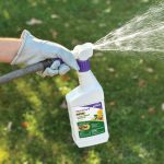 Duraturf Total Lawn Weed Control Ready to Spray in use