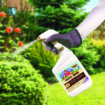Bonide Captain Jack’s Neem Max, 32 oz Ready-to-Use Spray Cold Pressed Neem Oil