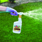Bonide Captain Jack’s Neem Max, 16 oz Ready-to-Spray Cold Pressed Neem Oil